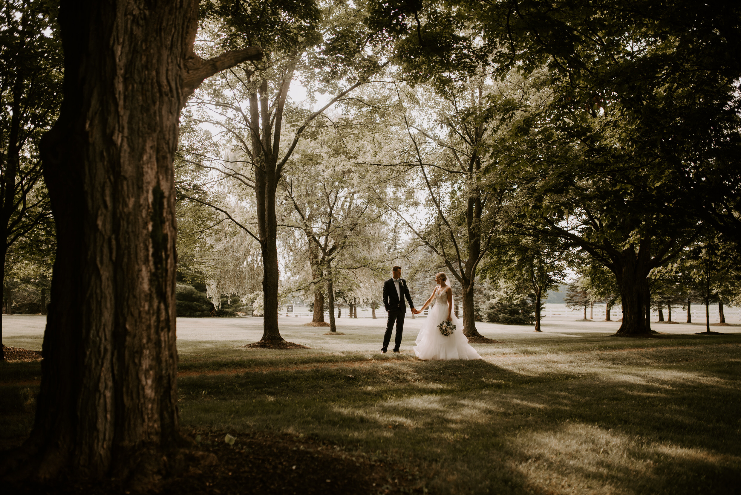 Belcroft Estates Wedding - bride and groom back-lit in the woods